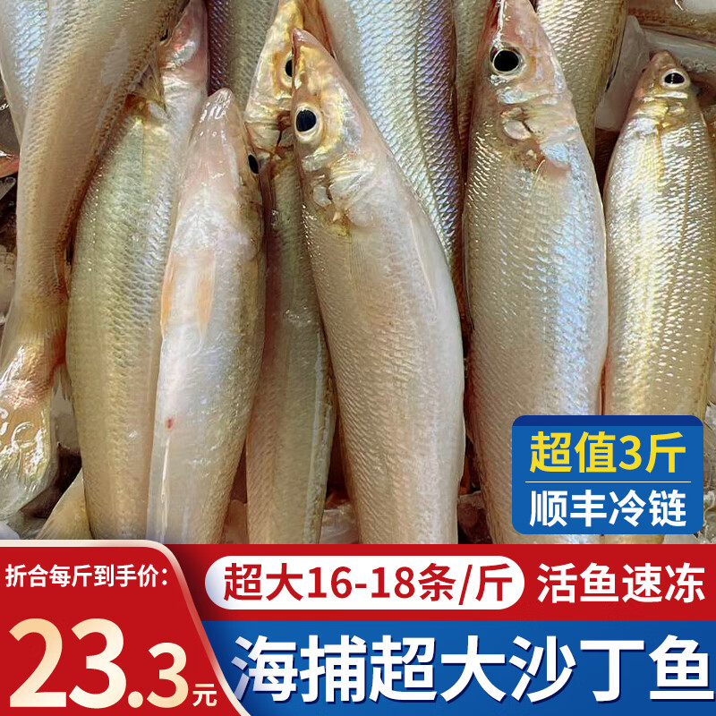 朵芙新鮮沙丁魚 國產(chǎn)活凍沙尖沙鉆魚人工冷凍 船捕海鮮水產(chǎn)魚類 新鮮沙丁魚凈重3斤