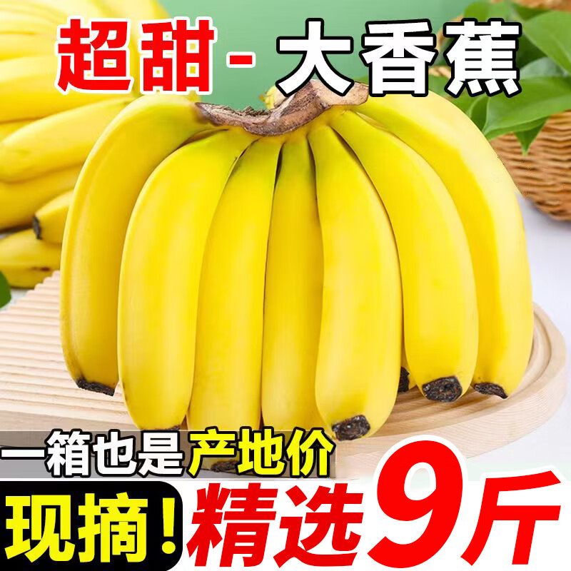 【自然熟】云南高山大香蕉新鲜时令水果超甜整箱当季现摘小米蕉 云南大香蕉9斤