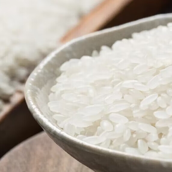 ����ȯ85%���������� ������ ��ĥ�������� 500��/�� 