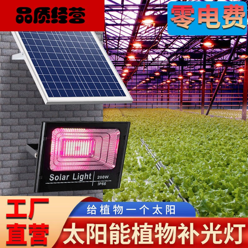 太阳能植物生长灯大led功率大棚蔬菜花卉仿太阳植物补光灯 60W太阳能植物生长灯怎么看?