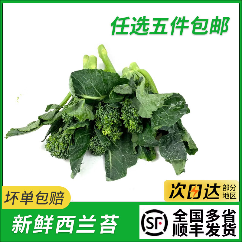 新鲜西兰苔500g时令蔬菜青花苔迷你小西兰花苔甜杆芦笋西蓝苔花菜