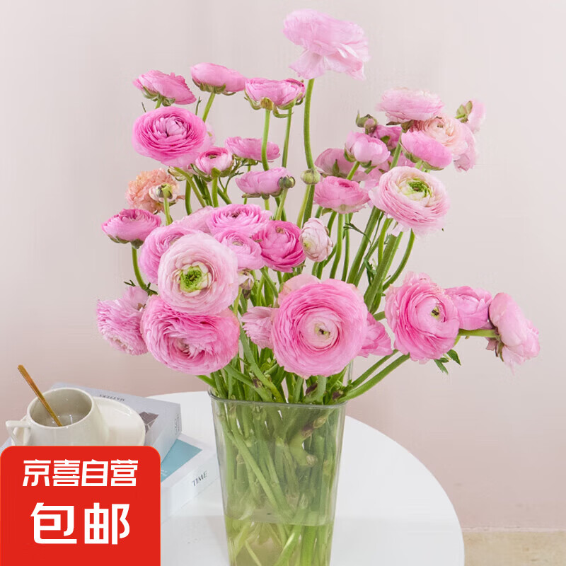 ����ĵ��������ƮƮ�ذ�Ӧ���ʻ����ϻ���ֱ���ÿ���ɫŮ������� ��ɫ��ĵ��10֦40CM