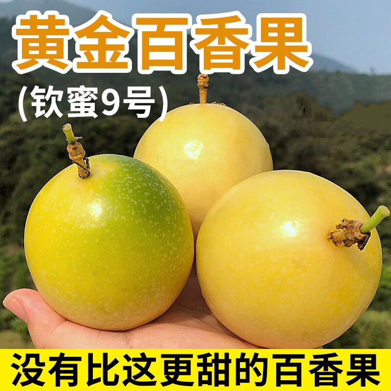 【顺丰】生鲜正宗钦蜜9号广西黄金百香果柠檬热情果孕妇酸甜水果 百香果单果70-90克  5斤