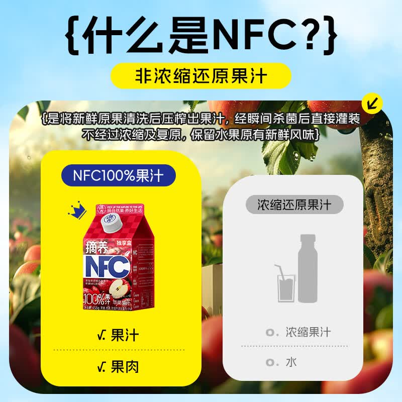 摘养100%NFC纯果汁458ml儿童饮料芒果汁结婚宴饮料送礼鲜榨水果原浆 NFC458g黄桃汁整箱12盒