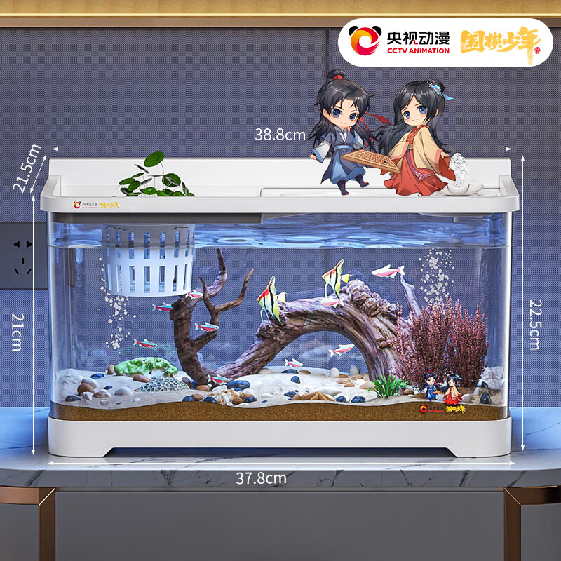 ��ͥ��KUOTING��������Ӷ�����Χ����������������͸����̬��׿�����ɫ