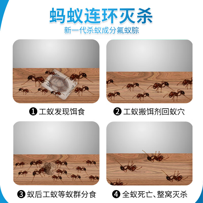 日明蚂蚁药原装进口端全窝非低毒灭杀治小红黄黑家用厨房室内外胶饵剂 韩文5克【适用50平方】
