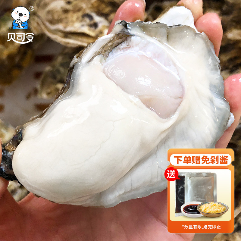 贝类的价格行情与趋势|贝类价格走势图