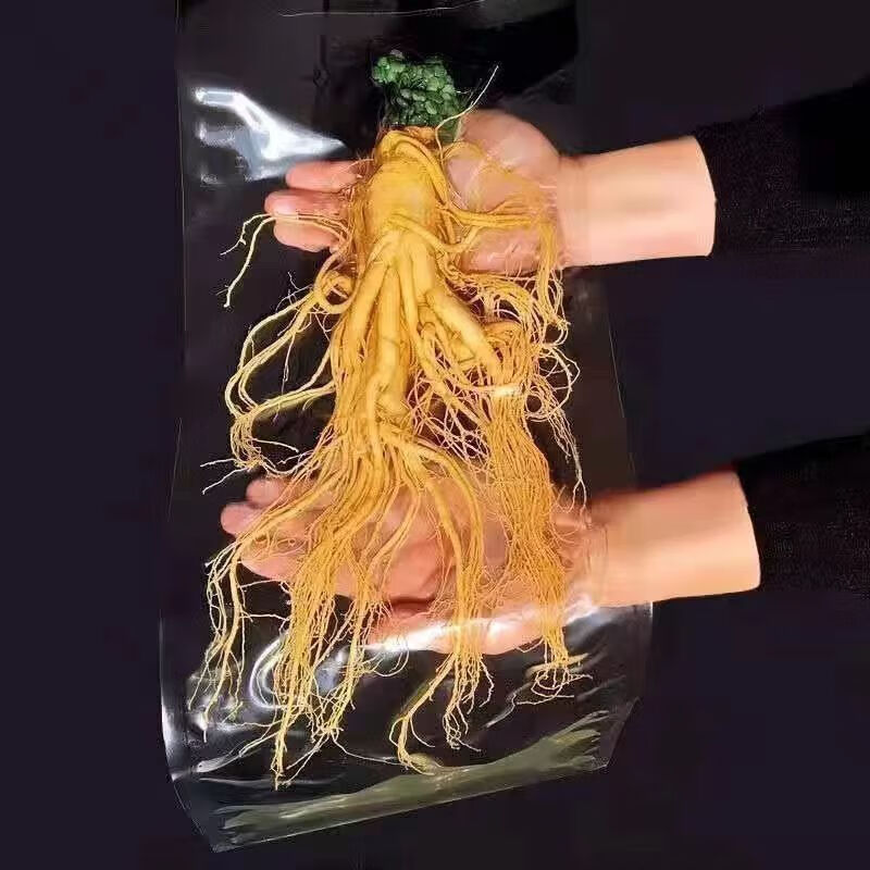 敖东敖东鲜人参保鲜八年人参正宗长白山人参泡酒煲汤滋补材料东北保鲜 2大支9年老参 泡酒煲汤