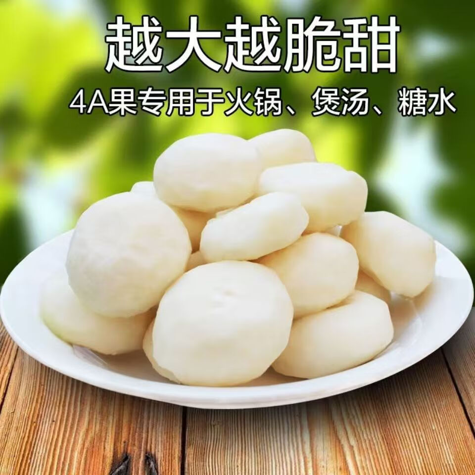 荔浦马蹄广西荸荠地梨脆甜多汁现挖带泥保鲜当季水果蔬菜 优质大果 净重5斤(100-115）