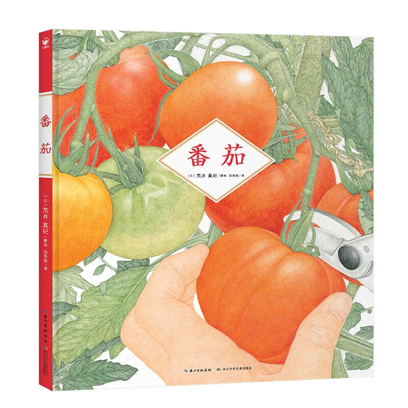 番茄精装绘本BIB金苹果奖得主荒井真纪新作 草莓郁金香同系列作品细腻水彩画植物观察绘本3-6岁儿童科普绘本诺贝尔科学馆