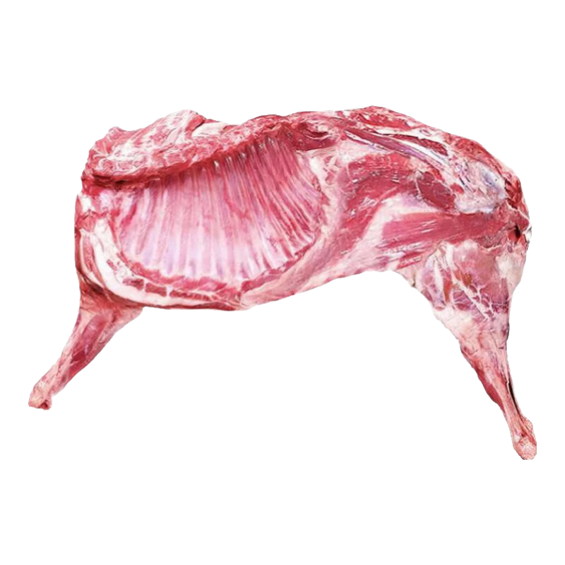 ³ ԭ ֻ޸ 10 199Ԫ(ȯ)