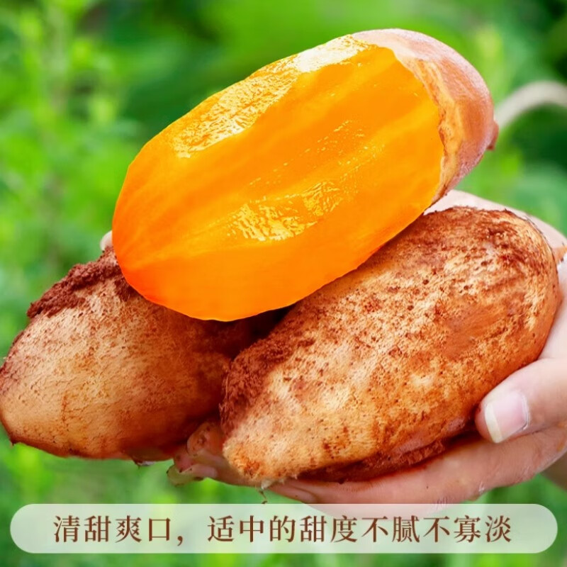 北森南屿云南雪莲果 新鲜水果应当季孕妇红心雪连果黄心 脆甜爽口 雪莲果3斤大果（单果约200g+）