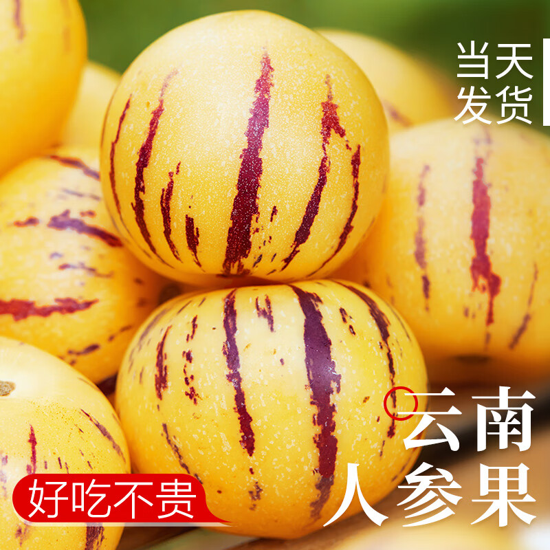 ��ӭ �˲ι� 3�����45g