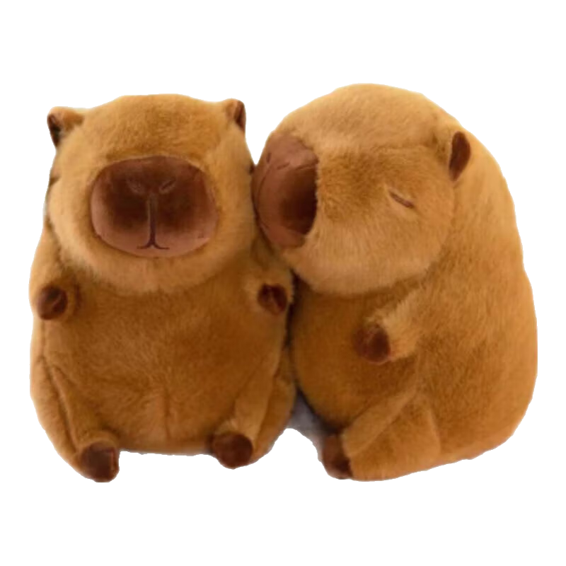 ��Ƥ����ë����߹��� ˮ����ż ��ͯ�������� Ů�����˽����� 1��װ ����ר�� 5.68Ԫ(����ȯ)