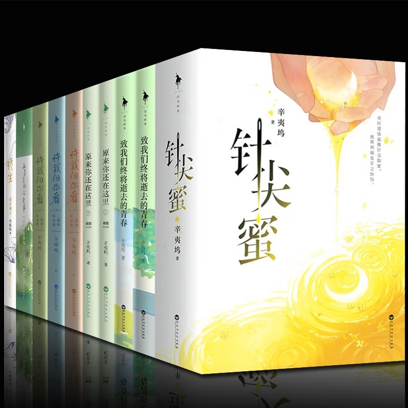 辛夷坞青春小说作品集全套【套装12册】致我们终将逝去的青春 许我向