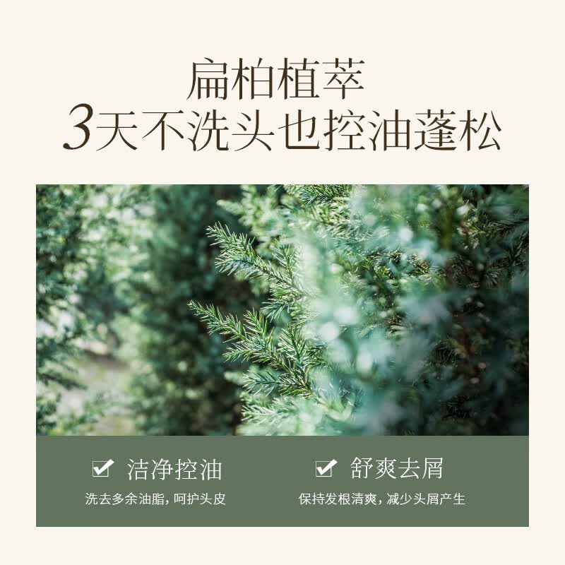 浅香(ASAKA)扁柏氨基酸洗发水控油去屑蓬松清爽去油男女持久留香洗发水 【实蕙】扁柏洗发水 500g*1瓶
