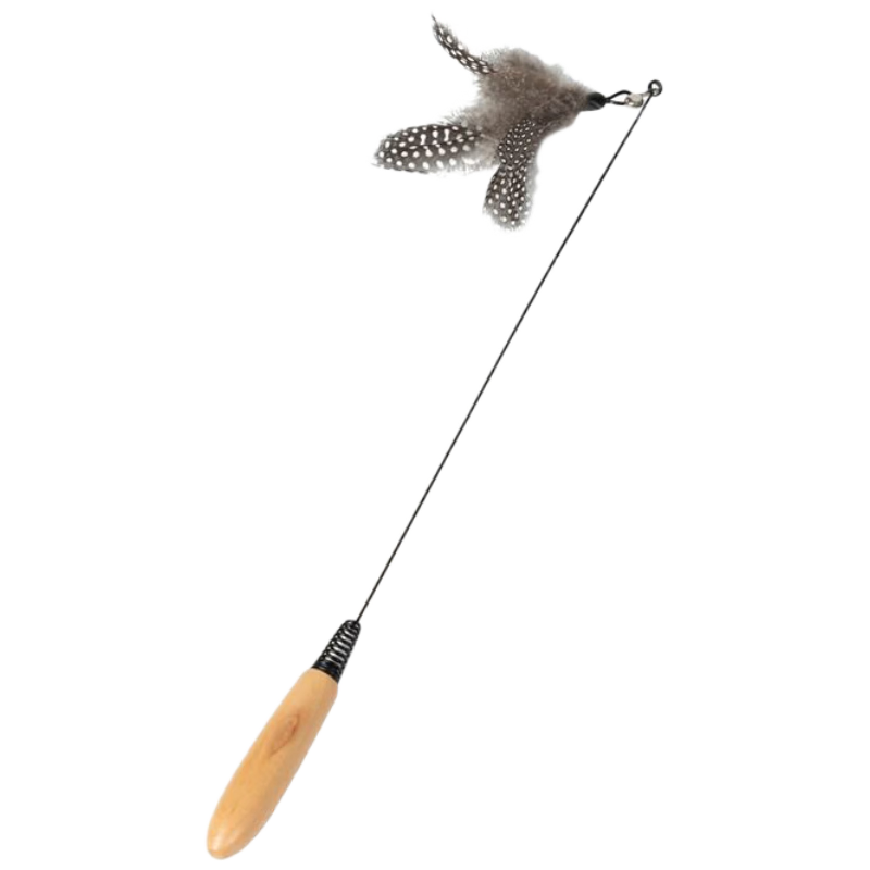 �س�CFA����ľ���������춺è��������ë�����ɲ�ж�滻ͷ����è���