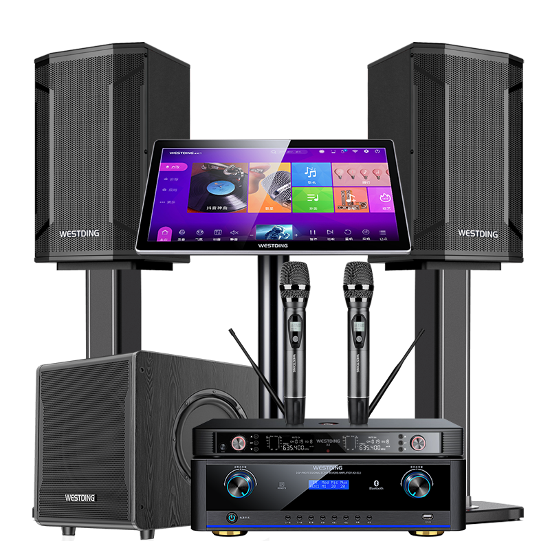 威斯汀家庭ktv音響套裝點(diǎn)歌機一體唱歌全套設備K歌影院客廳卡拉OK智能語(yǔ)音點(diǎn)唱天悅5號專(zhuān)業(yè)2.1超重炮