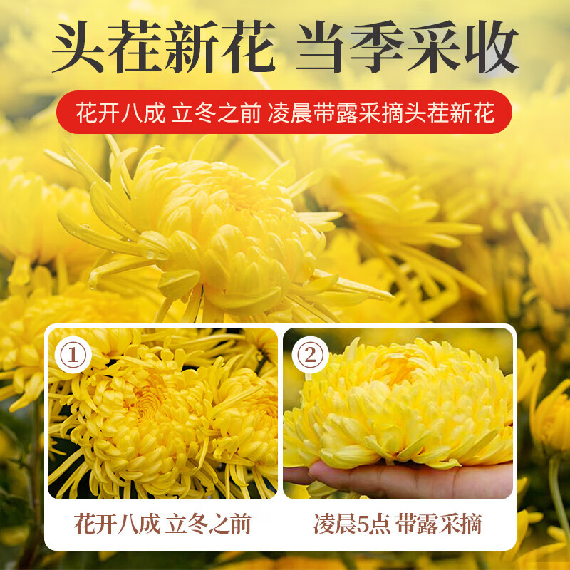 同仁堂金絲皇菊 一杯一朵 菊花茶 獨立小包裝30朵 湖南隆回百合150克/罐