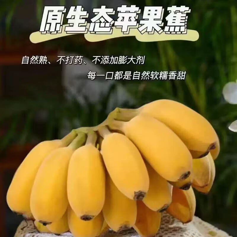 闭眼买：禁止蕉绿 可食用自然熟苹果蕉小米蕉 3~ 4斤 带箱 赠送吊牌