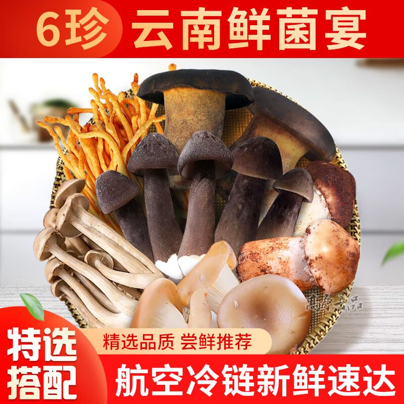 高原云品云南新鲜菌菇组合 【火锅菜】 多种食用菌新鲜搭配 营养美味 6种鲜菌菇组合共1000克