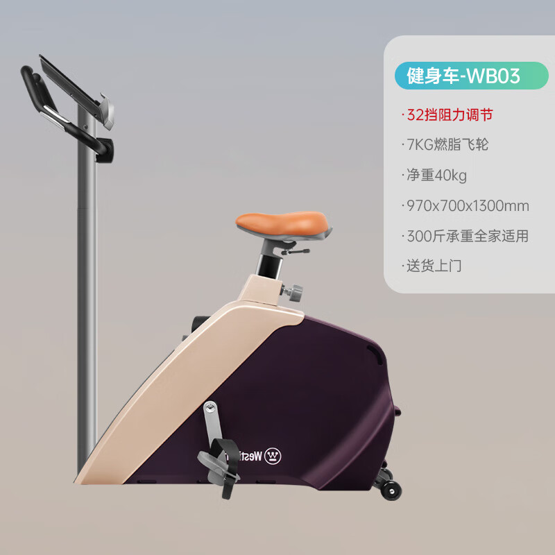 动感单车家用健身自行车磁控运动器材健身房用超