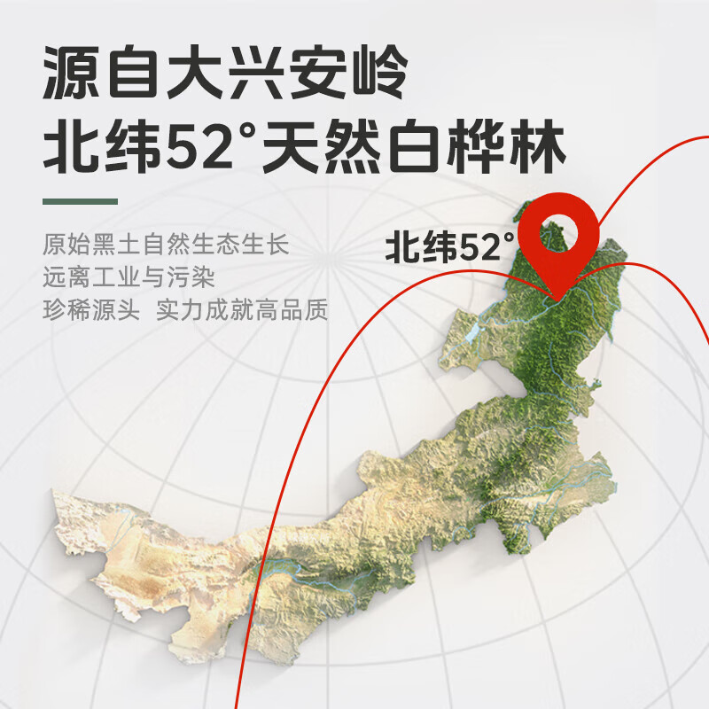 轻上益生元西梅汁饮品解腻果汁茶饮料整箱0脂0添加蔗糖膳食纤维 100%白桦树汁NFC原液245m1*10瓶