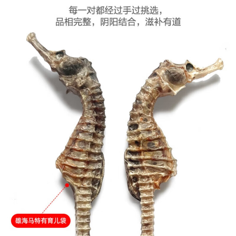 海马药材公母一对六角海龙组合泡酒滋补壮阳【CAWC认证】干货礼盒 50只公母搭配 52g*1袋