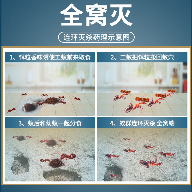优可威原装进口蚂蚁药家用室内外除无全诱窝毒端一杀灭净小红黄黑饵剂灭 2克装【适用20平方左右】