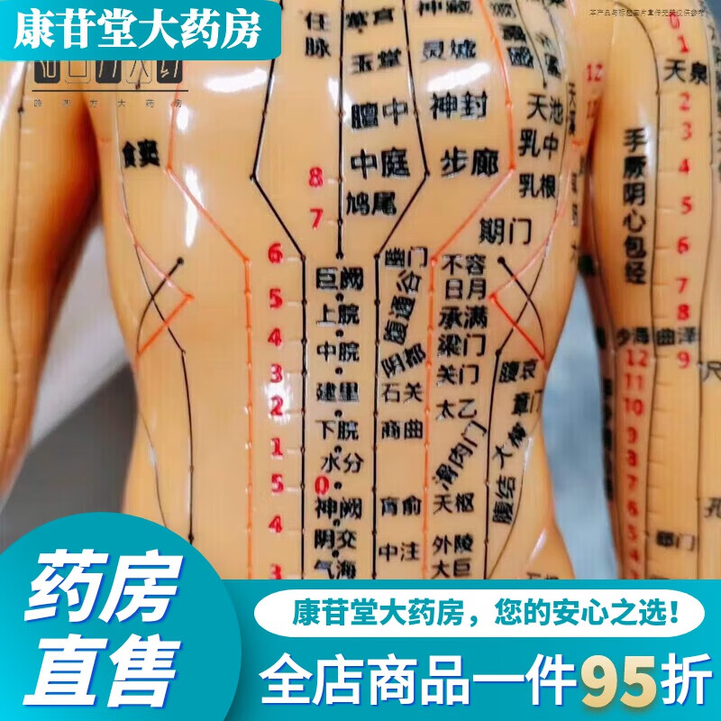 针灸穴位人体经络模型中医十二经络男女小皮人全身经络穴位模型人 古铜色硬模型 40厘米高(男+底座42厘米)