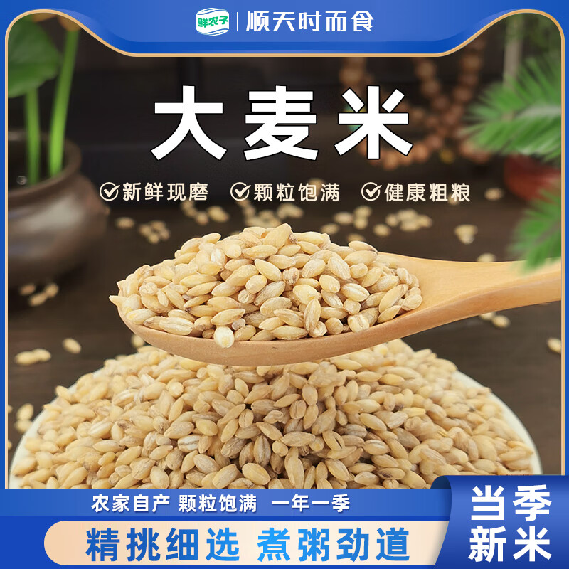 鮮農(nóng)子新脫皮大麥米500g農(nóng)家新鮮粗糧大麥米去皮麥仁五谷雜糧煮粥蒸飯 【5斤裝】大麥米500g*5袋