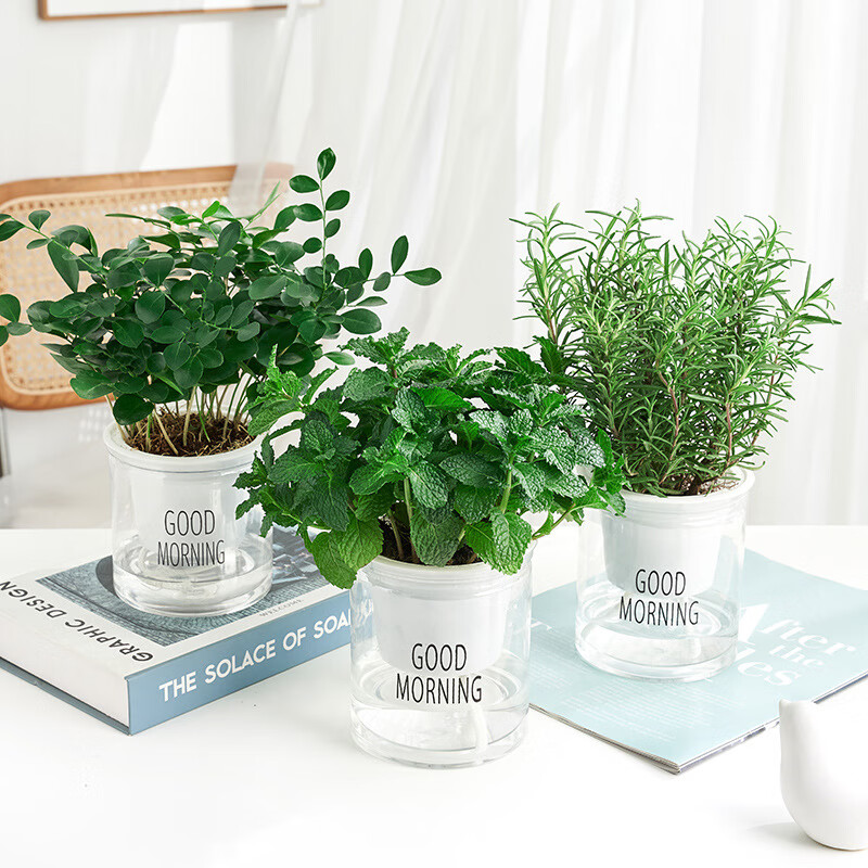 ���Կ�ʳ�����ʱ���Ҷˮ��ֲ���Ե�������������ֲ�������ò� ����+������+�Ե���(�簲��)+Ӫ