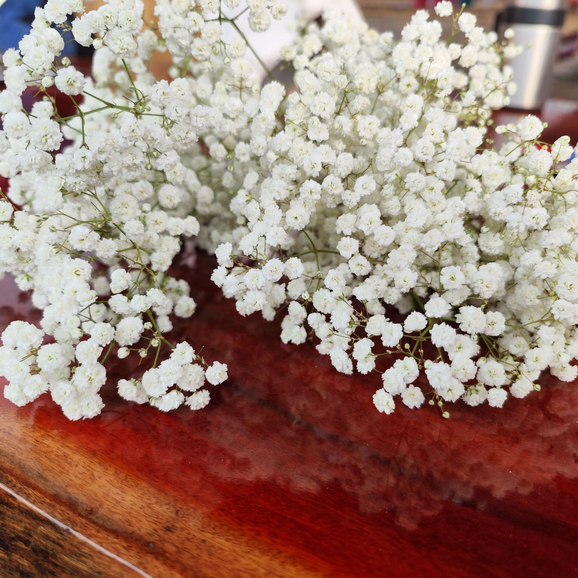 满天星永生花干花满天星120克400克精品花束家居插花装饰摆件 原色120