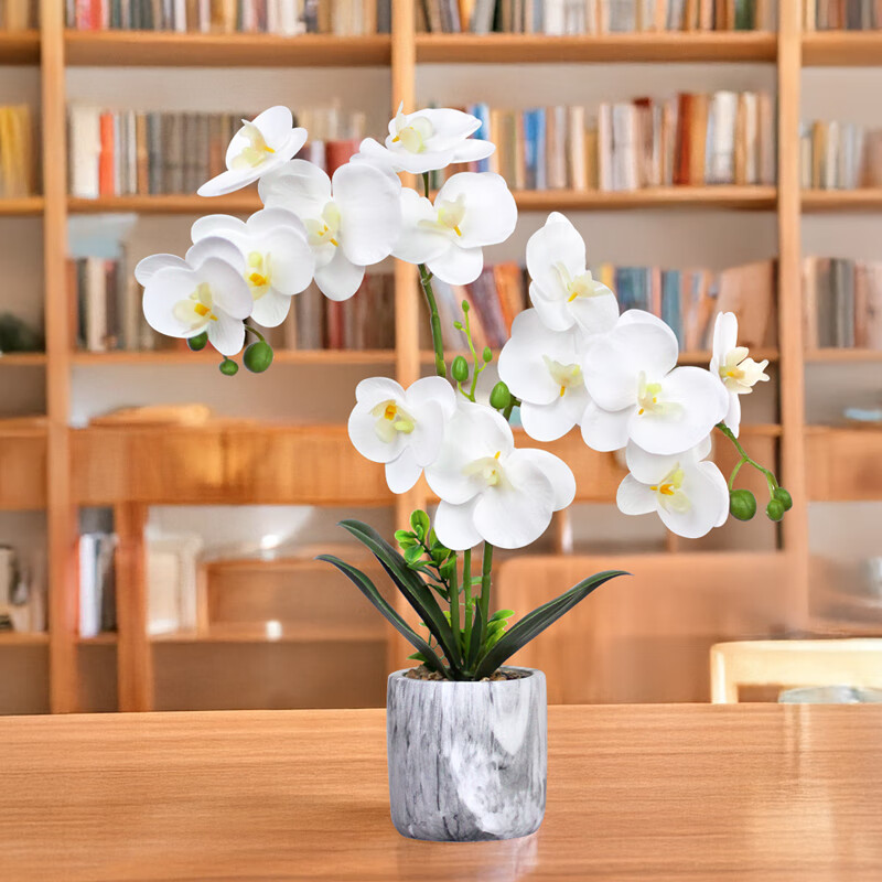 匠心綻放蝴蝶蘭假花盆栽仿真盆景高檔假花假綠植擺件家居桌面裝飾 【白色】3叉13朵花