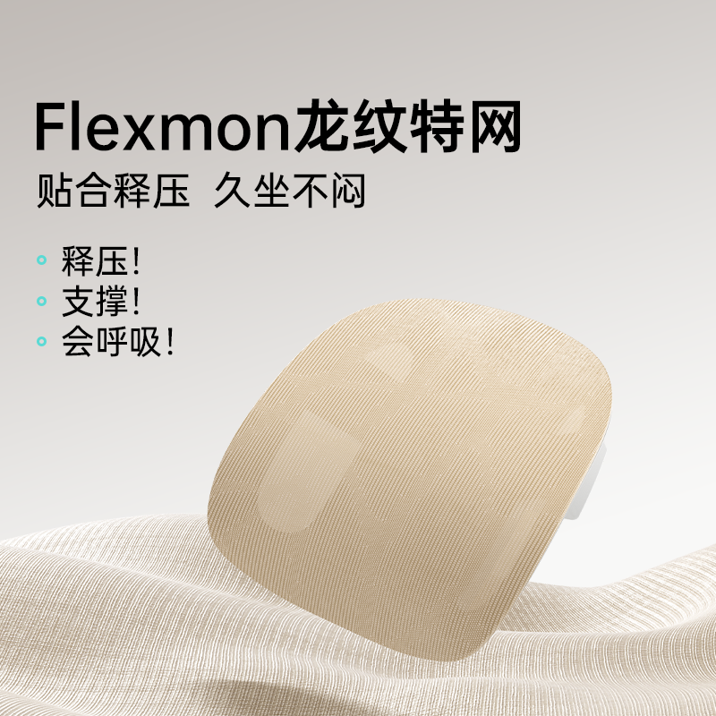 黑白调P2Pro人体工学电脑椅办公椅人工力学座椅电竞椅学习椅4D腰托 P2Pro柔纱米 4D护腰