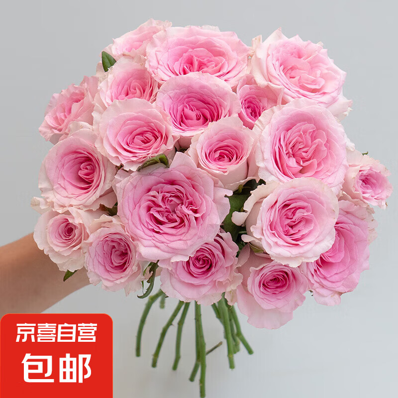 ��õ�廨�����˽��������ϻ���ֱ��õ�廨�ʻ������׿�ƿ���͹��� ���õ��10֦