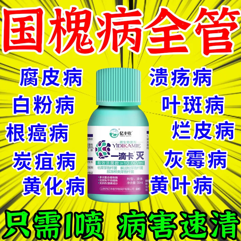 槐花槐树国槐专用药溃疡病叶斑白粉病腐皮烂皮病害全治农用杀菌剂