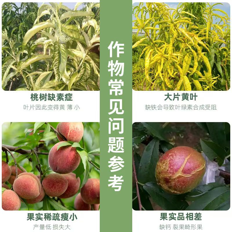 正品桃立康桃树果树专用绿叶黄化增强免疫补充营养有机水溶肥料 桃立康1000克*12瓶