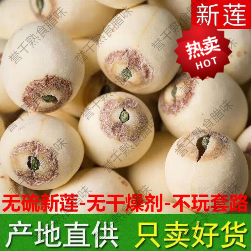 新貨帶芯白蓮子干貨500g特產(chǎn)湘潭湘蓮子帶心磨皮蓮子有芯無硫 ()大粒帶芯白蓮子500克