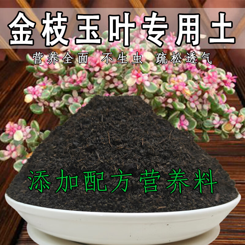 金枝玉叶专用土金枝玉叶专用营养土营养土泥土种植土种树专用花土 金枝玉叶精配专用土[ 29斤 ] 京东折扣/优惠券