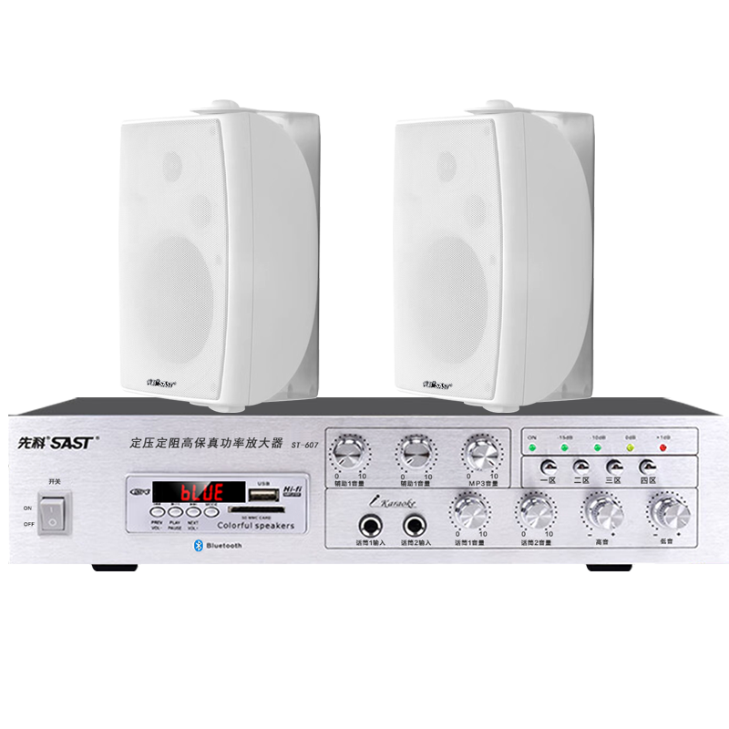 先科（SAST）DW50壁掛音響套裝50W音箱喇叭150W藍牙功放機店鋪商用工程會議舞蹈室家用公共廣播背景音樂 一拖二