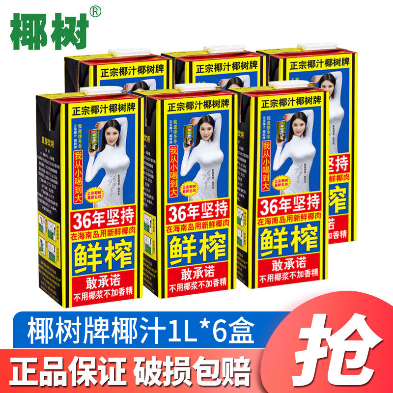 椰树椰汁1L*12盒 植物蛋白饮料乳饮 正宗海南特产 植物蛋白质饮料椰奶 椰树牌椰汁1L*6盒【加固发货】