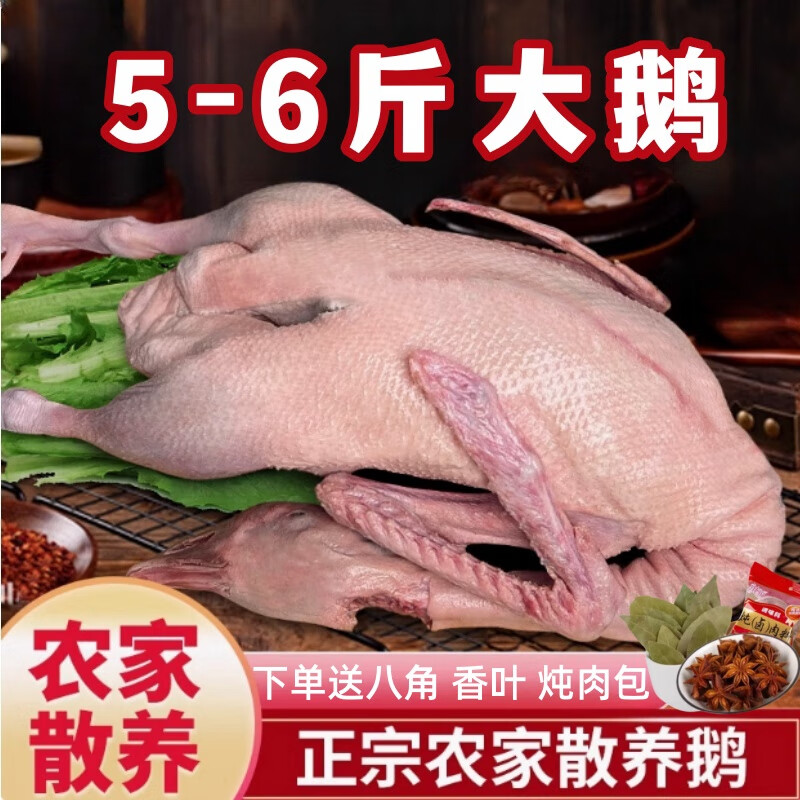 柒島散養(yǎng)大鵝新鮮大白鵝放養(yǎng)草鵝現殺生鵝肉冷凍嫩鵝仔鵝散養(yǎng)老鵝 大白鵝5-6斤/【殺后凈重】 圓通  壞單包賠