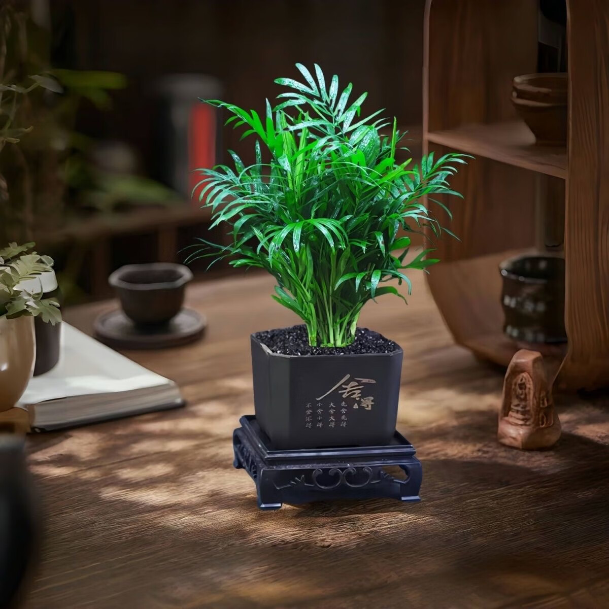 �ۻ�������Ҭ������ɢβ����������ֲ��칫���ھ�����������ȩ������ֲ ���ͷ�����������Ҭ��+PVC��֬��+��ɳ���� �µ����ͽ�ˮ����X1��ԭ��ϵ�г��⣩