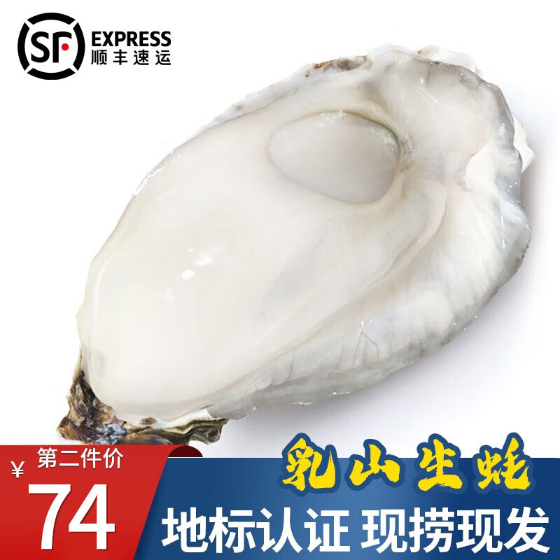 贝类电商最低价查询方法|贝类价格比较