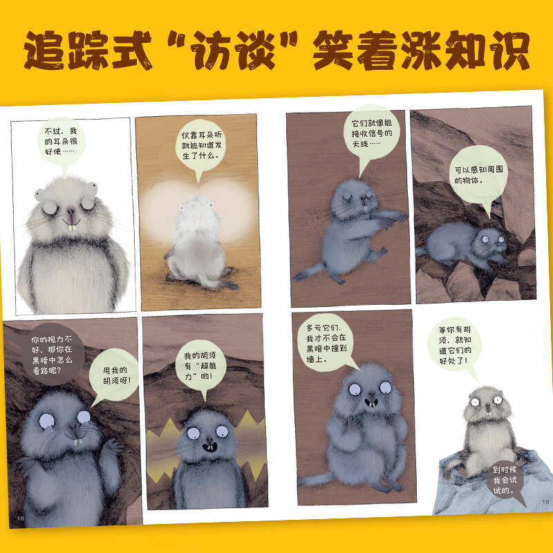 乐乐趣动物爆笑日常大公开全套儿童3-6岁正版启蒙漫画书适合幼儿园学前小学生看的课外书科普绘本读物科学睡前故事书籍 【4册】动物爆笑日常大公开
