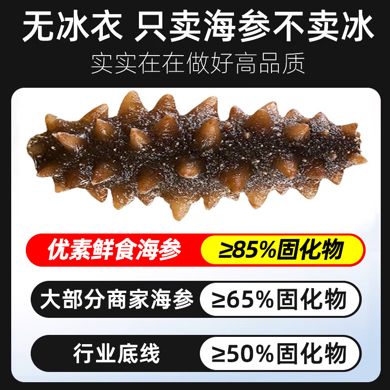 優(yōu)素 EUSSOT【85%固形物】無添加鮮食海參正宗大連野生即食海參遼刺參底播參 85%固形物鮮食海參250g(6-10只)