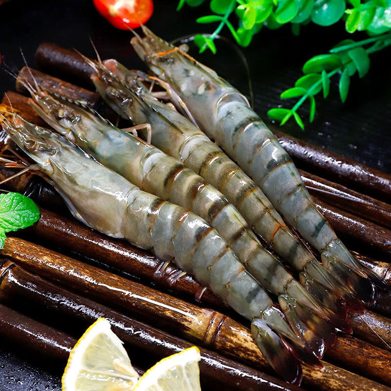 食美 超大虾海捕黑虎虾超大虾鲜活冷冻海虾越南虎虾特大号生呛生吃 特