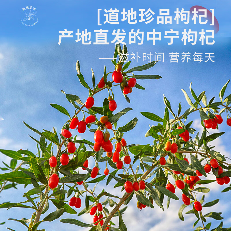 中宁枸杞宁夏红枸杞子 食补泡茶枸杞 干货养生茶 补品 特级枸杞 250g*1袋