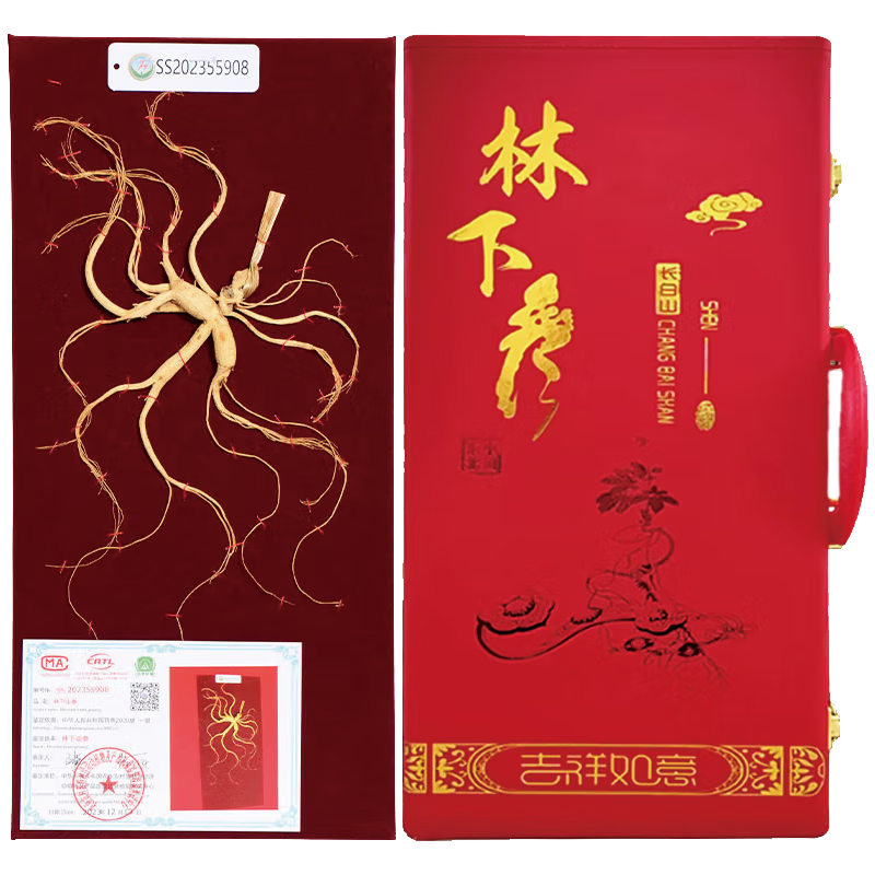 參慶堂 長白山人參禮盒 林下山參約20克/盒 父親節(jié)人參禮物品送父母長輩